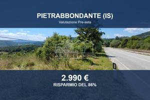 Immobile in asta di 10550 m² a Pietrabbondante