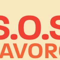 Lavoro di volontariato