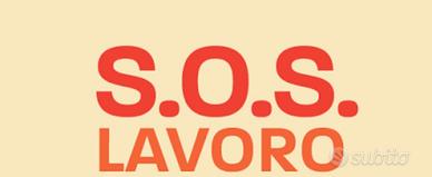 Lavoro di volontariato
