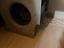 Immagine 4