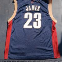 canotta lebron james Cleveland Cavaliers 