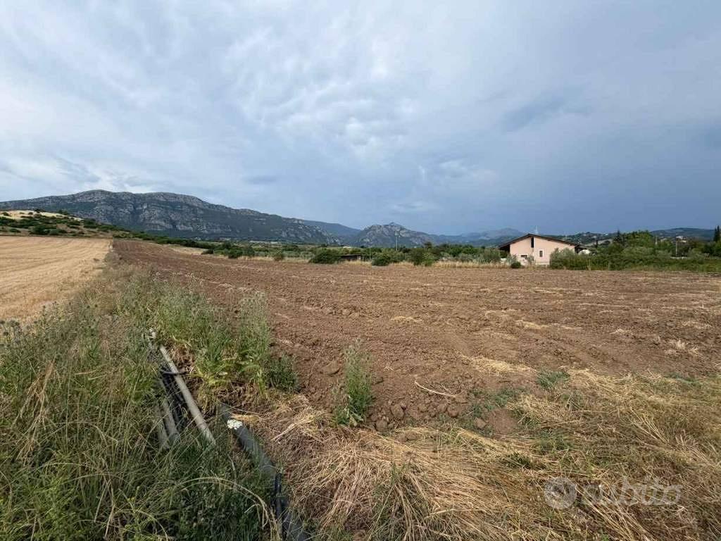 Terreno di 11000 m² a Capaccio Paestum - Vista 4
