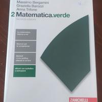 Matematica verde 2