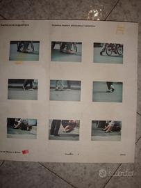 Libro Fotografico: Realtà come Suggestione Electa