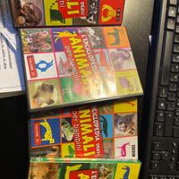Quattro DVD enciclopedia degli animali