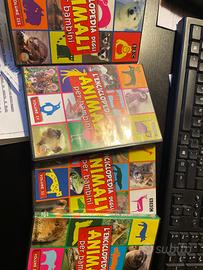 Quattro DVD enciclopedia degli animali