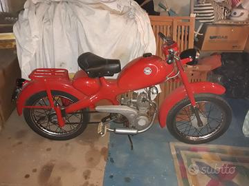 MOTOM 48 GG 