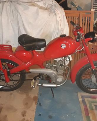 MOTOM 48 GG 