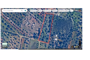 Terreno con casa