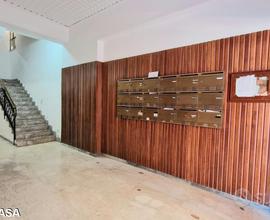 Stanza per ragazzo Zona Viale Principe