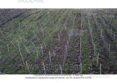 Terreno Agricolo Rovescala [A4324234]