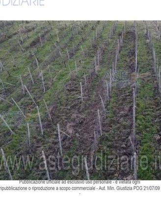 Terreno Agricolo Rovescala [A4324234]