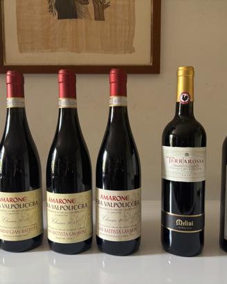 Bottiglie Vino amarone e Chianti