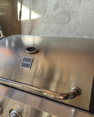 Barbecue a gas professionale