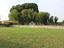 Immagine 7