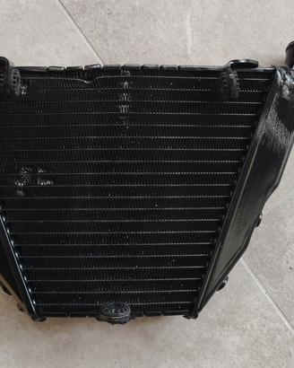 Radiatore inferiore streetfighter 848