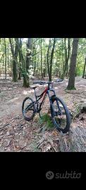specialized stumpjumper taglia m 