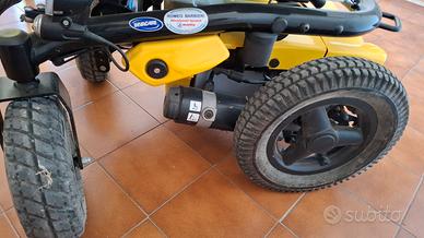 Carrozina elettrica da esterno
