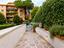 Immagine 19