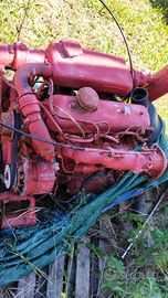 Motore Nanni diesel 40 cv