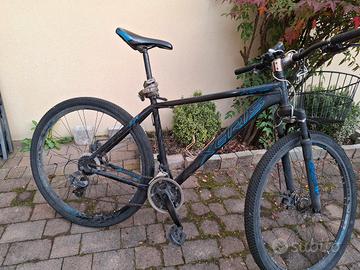bicicletta  grande da sport 