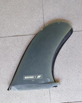 Pinna Longboard True Ames Heritage 10.5" 