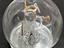 Immagine 5