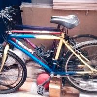 bicicletta 