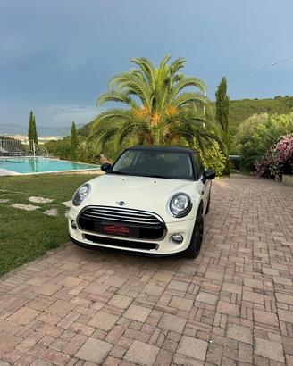 Mini 1.5 One D