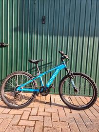 Mountain bike taglia 24