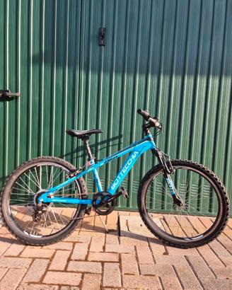 Mountain bike taglia 24
