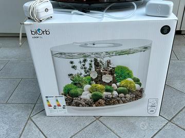 Acquario
