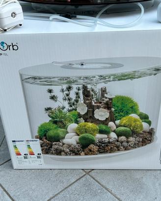 Acquario