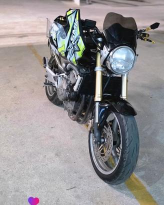 Hornet 600