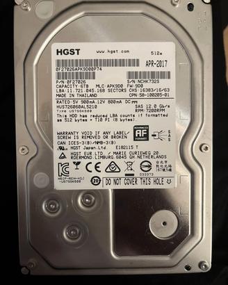 Hard disk SAS 6TB