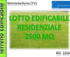 Terreno edif. collinare Montebelluna (TV)Rif. 1834