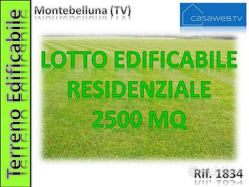 Terreno edif. collinare Montebelluna (TV)Rif. 1834