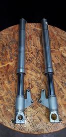 forcelle showa DUCATI MONSTER revisionate