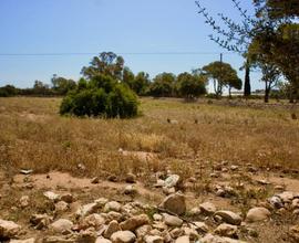 Casuzze - Terreno agricolo