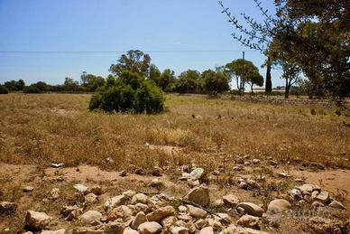 Casuzze - Terreno agricolo