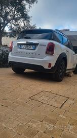 mini countryman  2.0 D 150Cv 