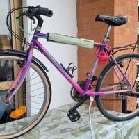 bicicletta Montain Bike 