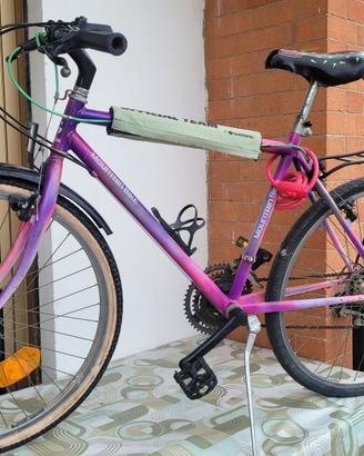 bicicletta Montain Bike 
