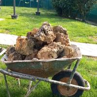 Rocce da giardino