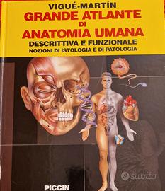 Grande atlante di anatomia umana