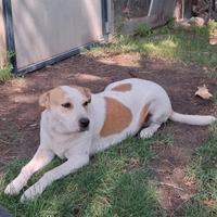 Bella meravigliosamente bella