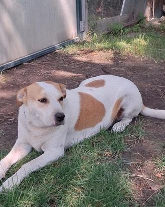 Bella meravigliosamente bella