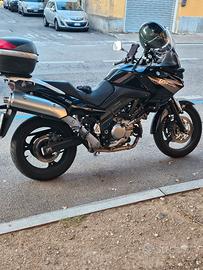 suzuki v strom 