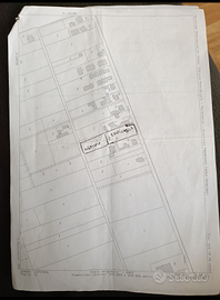 Terreno a gorgo di Latisana