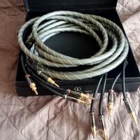 coppia di cavi per diffusori 